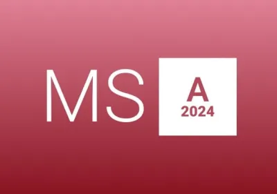 MS Access 2024