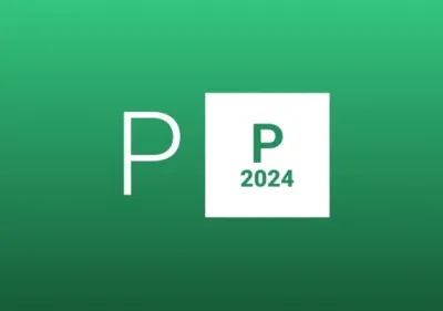 Project Professional 2024