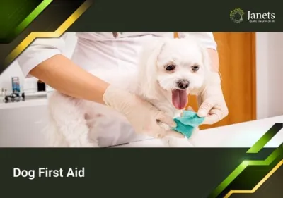 Dog First Aid - Janets Course