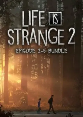 Life is Strange 2 - Episodes 2-5 bundle DLC