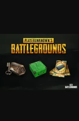 PUBG Battlegrounds - 2024 Exclusive Survivor Pack #2 DLC