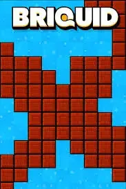 Briquid