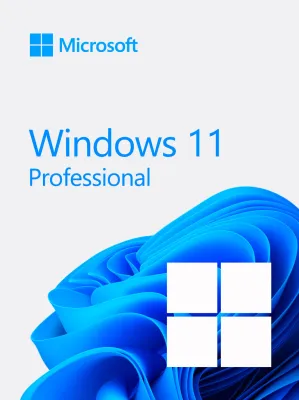 Windows 11 Professional 64 BIT OEM