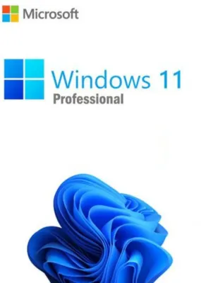 Microsoft Windows 11 Pro