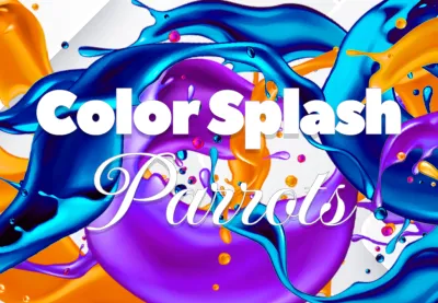 Color Splash: Parrots PC Steam CD Key