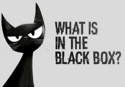 What is in the Black Box? PC Steam CD Key
