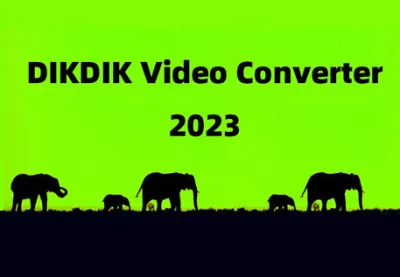 DIKDIK Video Converter Steam