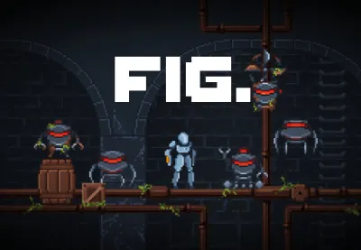 fig. PC Steam CD Key