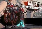 Borderlands 2 Mechromancer Pack DLC PC Steam CD Key (MAC OS X)