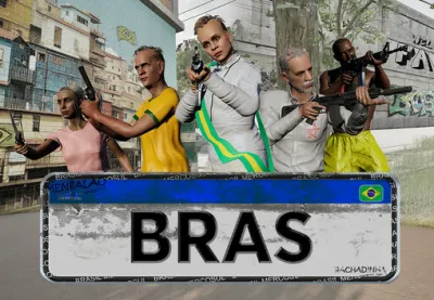 BRAS PC Steam CD Key