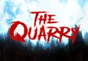 The Quarry PC Steam CD Key (valid until February 2027)