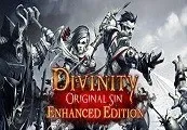 Divinity: Original Sin Enhanced Edition + Source Hunter DLC GOG CD Key