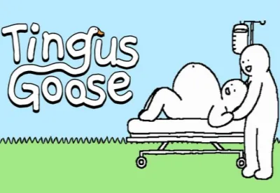 Tingus Goose PC Steam CD Key