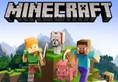 Minecraft Nintendo Switch Access