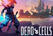 Dead Cells Nintendo Switch Access