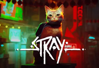 Stray PS5 Account