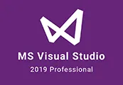 MS Visual Studio 2019 Professional EU
