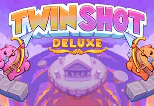 Twin Shot Deluxe PC Steam CD Key