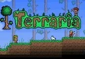 Terraria Nintendo Switch Access