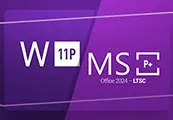 Windows 11 Professional & MS Office 2024 Professional Plus LTSC Bundle