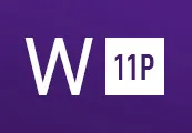 Windows 11 Professional ESD