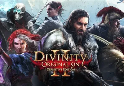Divinity: Original Sin 2 Definitive Edition Nintendo Switch 2 Access