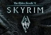 The Elder Scrolls V: Skyrim Nintendo Switch Access
