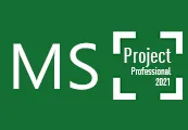 MS Project Professional 2021