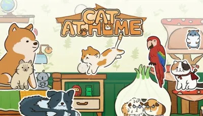 Cat at Home