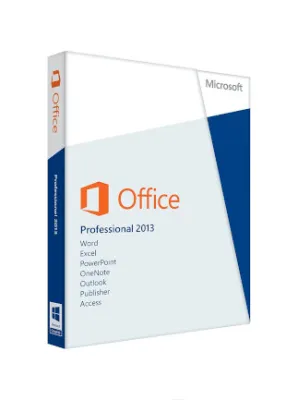 Microsoft Office Professional 2013 (PC)