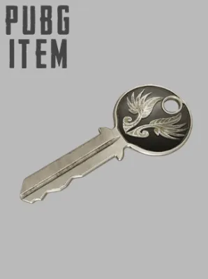 PLAYERUNKNOWN'S BATTLEGROUNDS (PUBG) EARLY BIRD Key