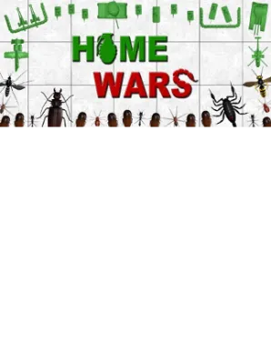 Home Wars Steam Gift