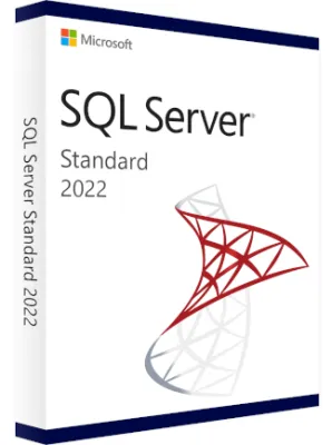 Microsoft SQL Server 2022 Standard (PC) - Microsoft Key