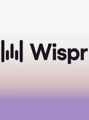 Wispr Flow Pro 12 Months - Wispr Flow Key