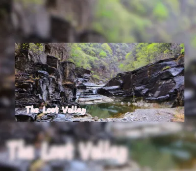 The Lost Valley (2021) Steam CD Key