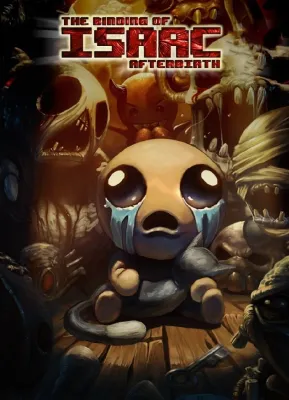 The Binding of Isaac: Afterbirth (DLC)