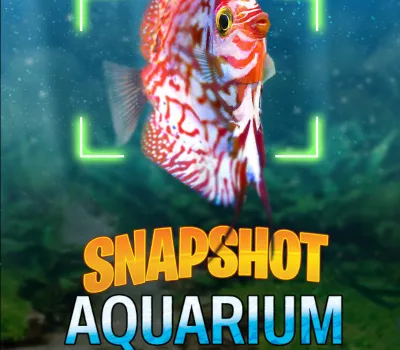 Snapshot Aquarium PC Steam CD Key