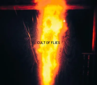 CULT OF FLIES PC Steam CD Key