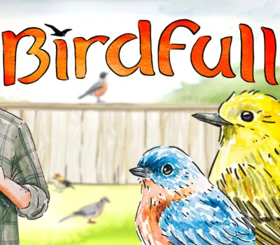 Birdfull PC Steam CD Key