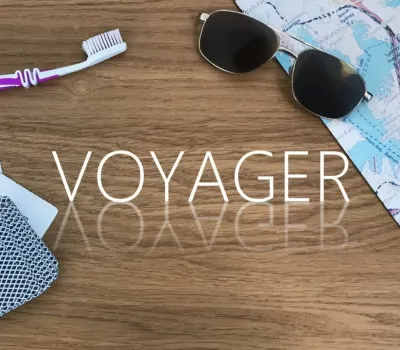 Voyager Steam CD Key