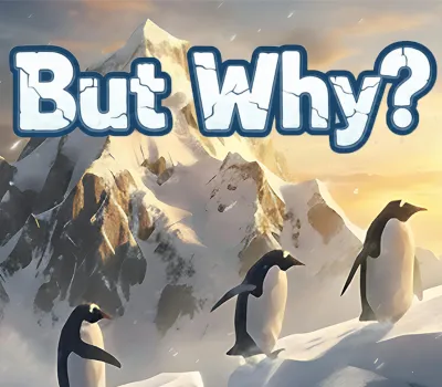 But Why? PC Steam CD Key