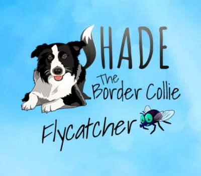 SHADE The Border Collie Flycatcher PC Steam CD Key