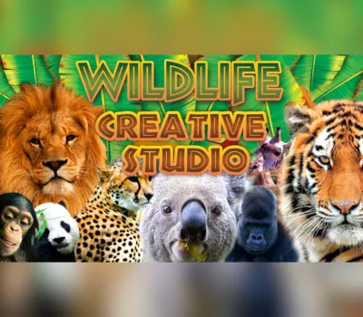Wildlife Creative Studio EU PC Steam