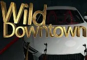 Wild Downtown Steam CD Key