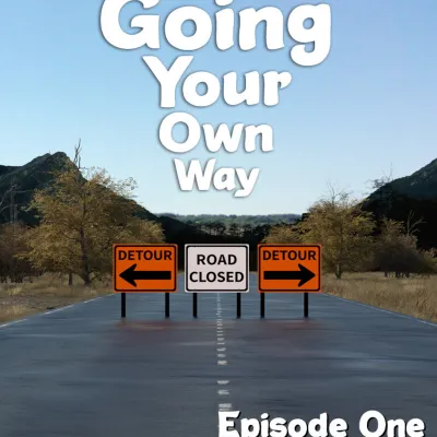 Going Your Own Way - Episode One PC Steam CD Key