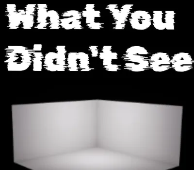 What You Didn't See PC Steam CD Key