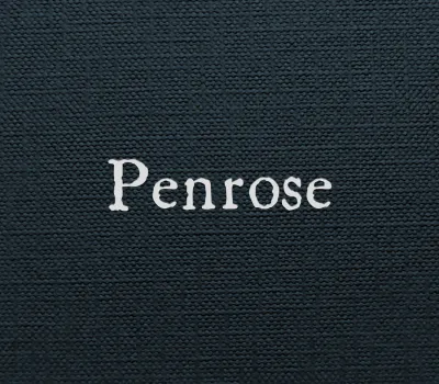Penrose PC Steam CD Key