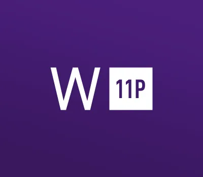 Windows 11 Professional OEM - API