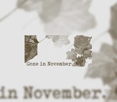 Gone In November Collector's Edition Steam CD Key
