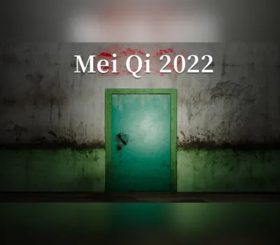 MeiQi 2022 PC Steam Account